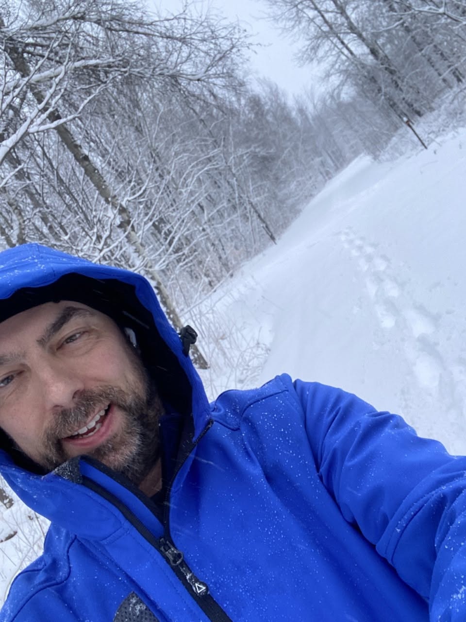 Dino en randonnée hivernale